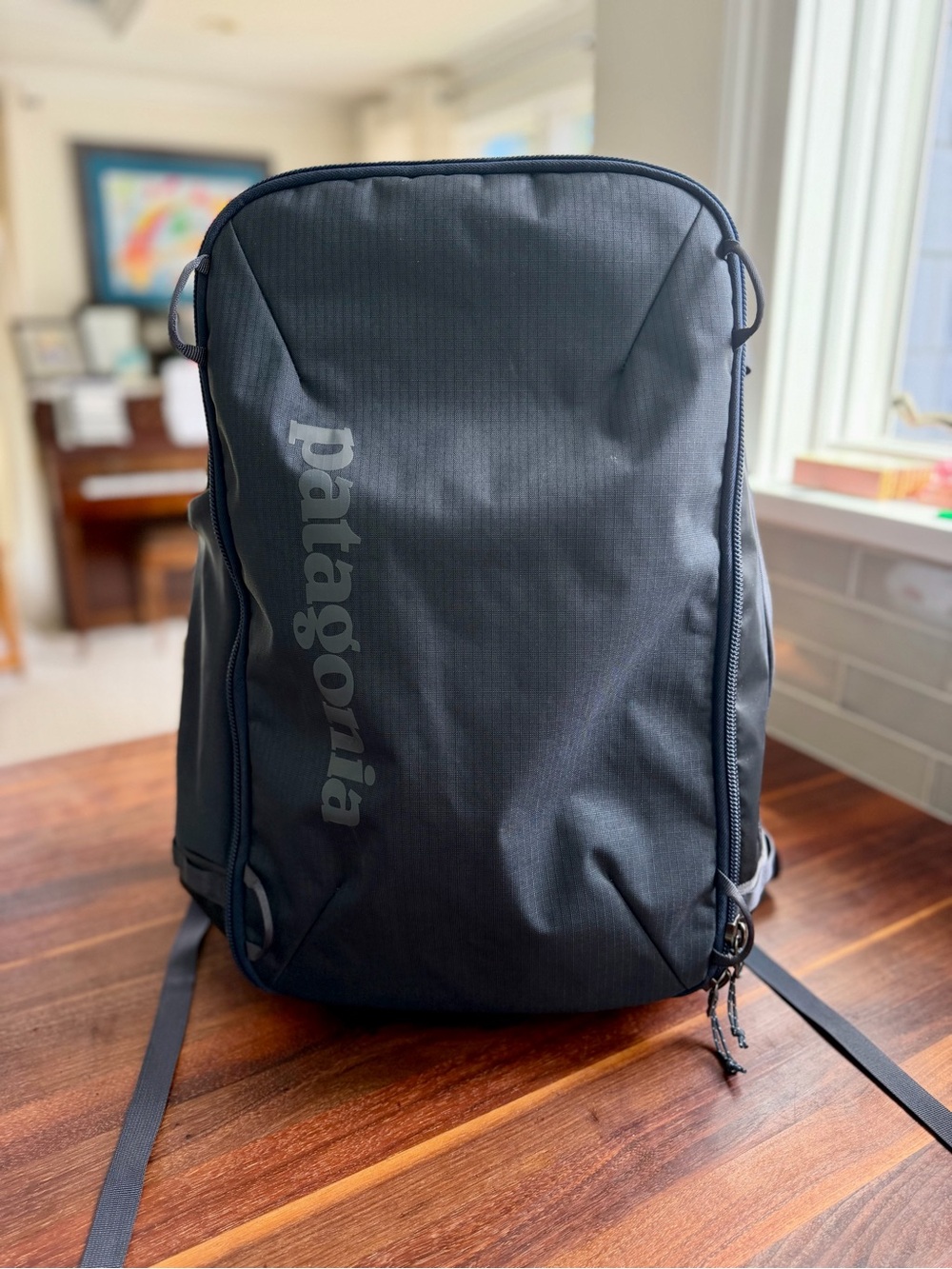 Patagonia Black Hole Mini MLC ("minimum legal carryon") 30L Backpack